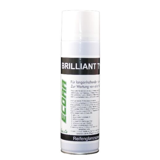Reifenglanz Spray 500 ml