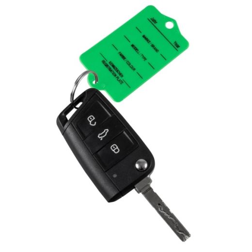 Auto Schlüssel-Anhänger mit Schlüsselringe grün 200 Stück